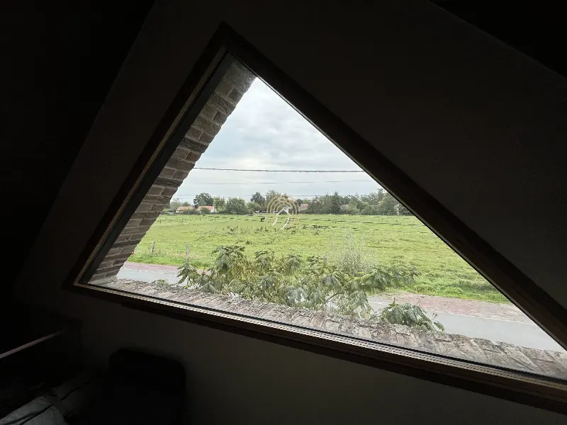 Wandignies-Hamage – Maison familiale de qualité dans un cadre privilégié — photo 13